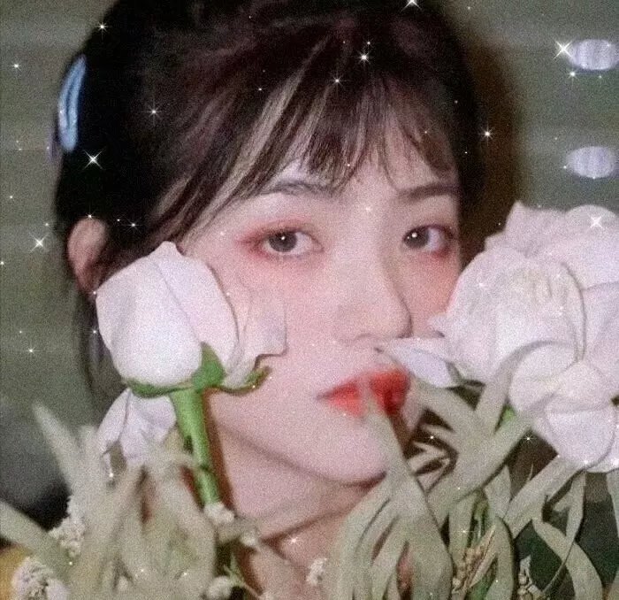 仲夏方程式